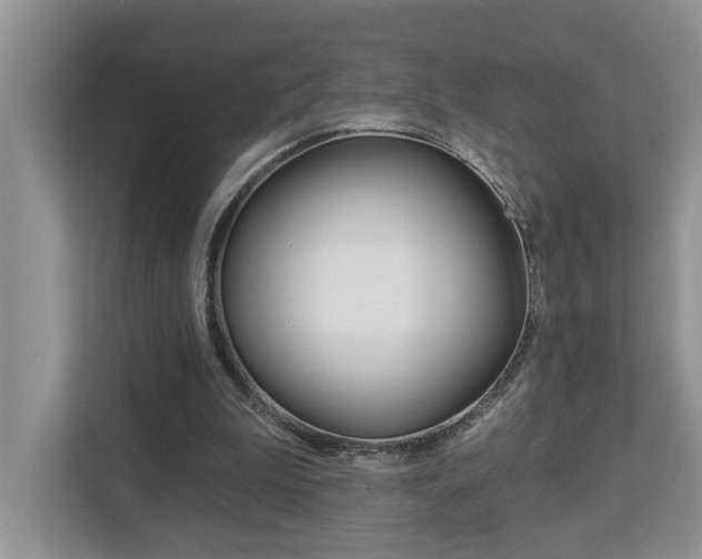 X0000112890199200908211037