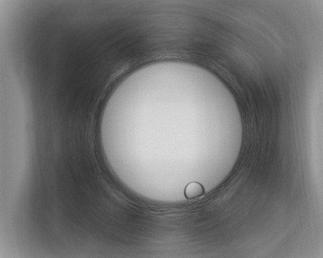 X0000112890207200908211037