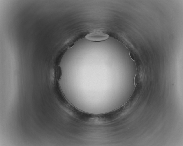 X0000112890211200908211037