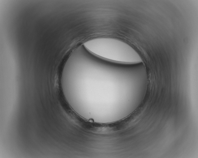 X0000112890212200908211037