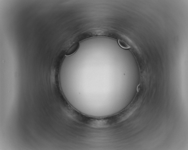 X0000112890217200908211037