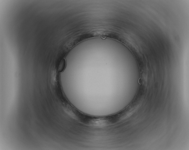 X0000112890219200908211037
