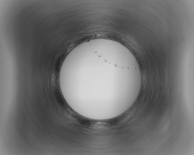 X0000112890222200908211037