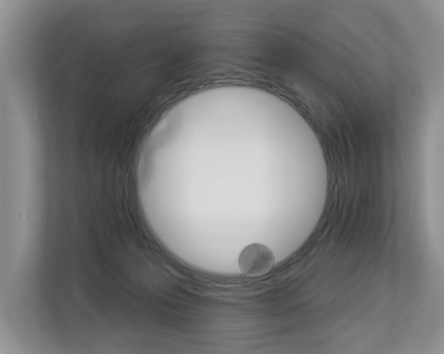 X0000112890223200908211036