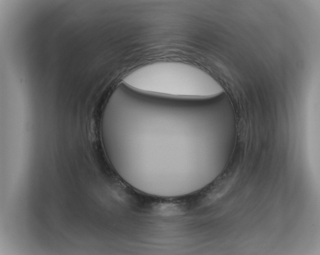X0000112890224200908211036