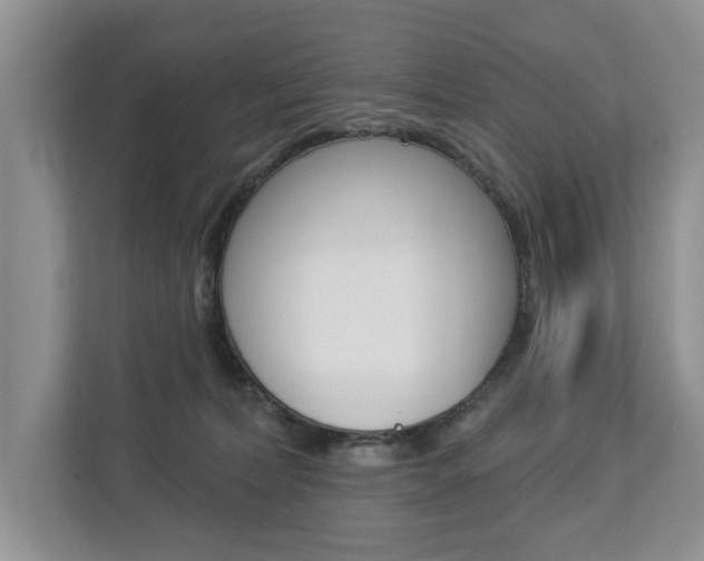 X0000112890228200908211036