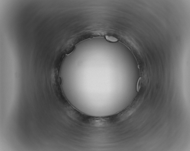 X0000112890229200908211036