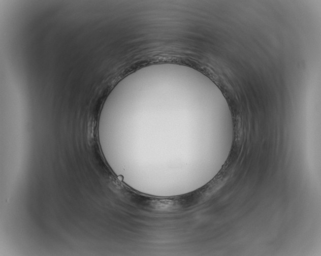 X0000112890230200908211036