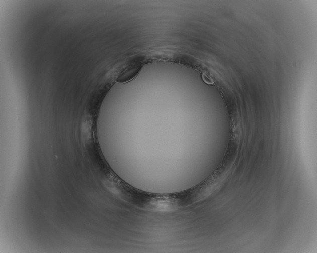 X0000112890231200908211036