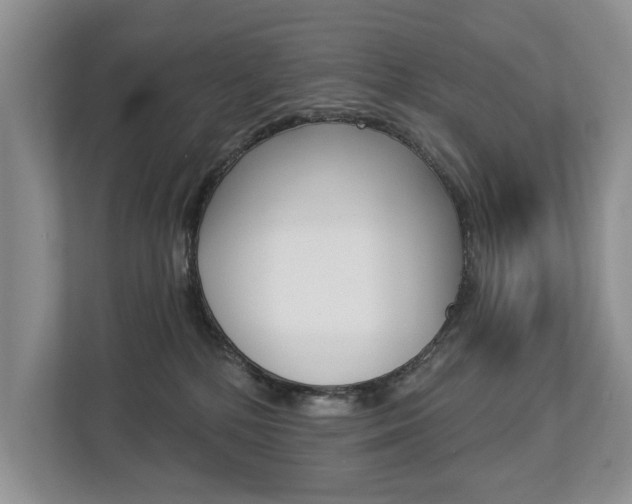 X0000112890232200908211036