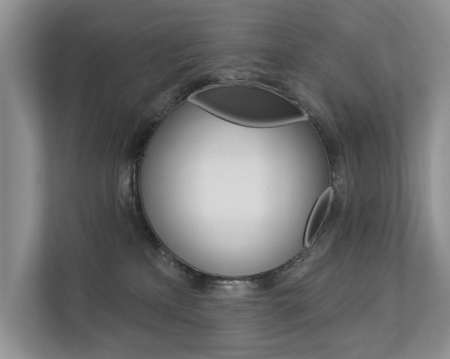 X0000112890233200908211036