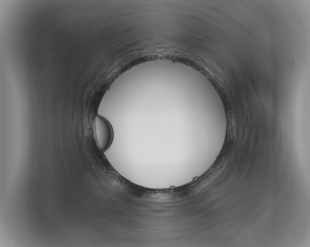 X0000112890236200908211036
