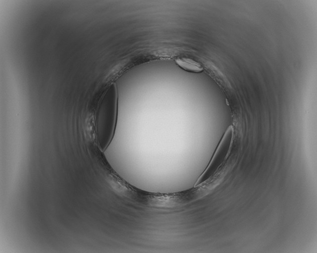 X0000112890237200908211036