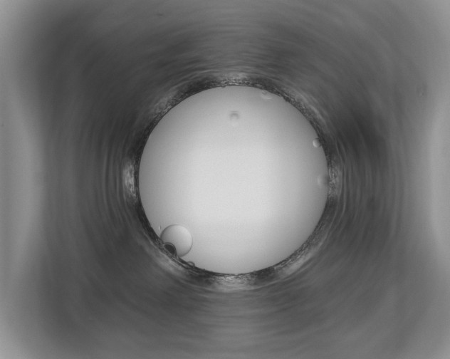 X0000112890238200908211036