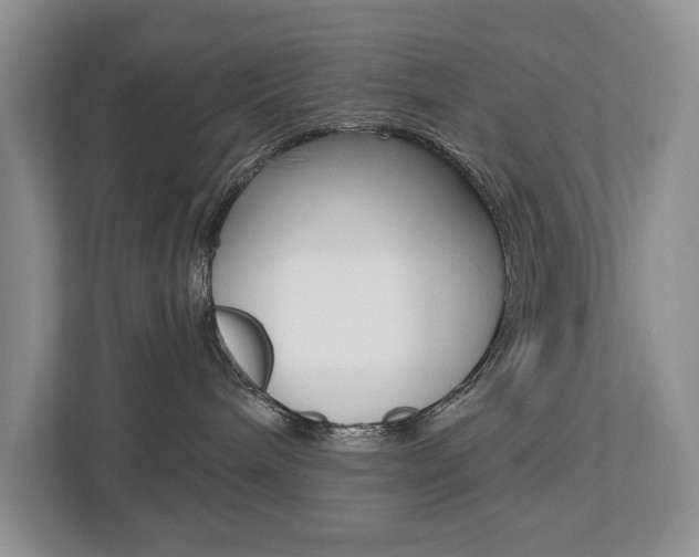 X0000112890240200908211036