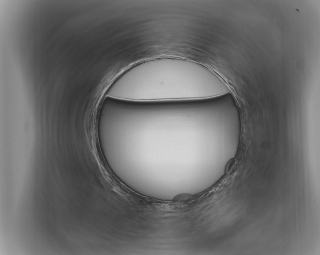 X0000112890241200908211036