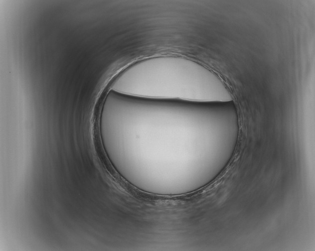 X0000112890242200908211036