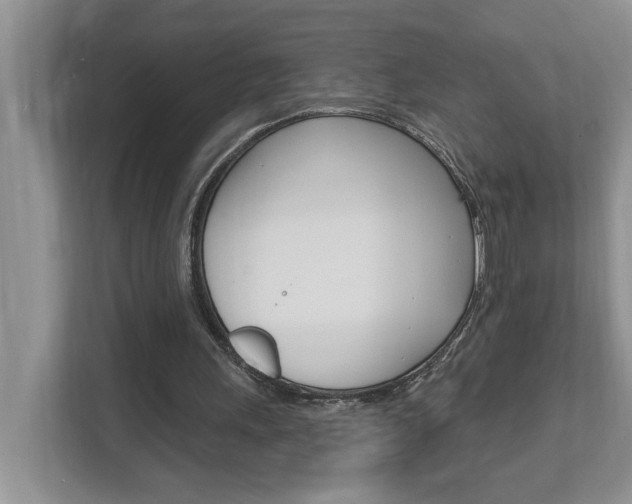 X0000112890243200908211036