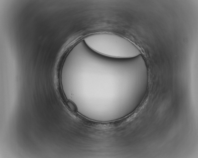 X0000112890245200908211036