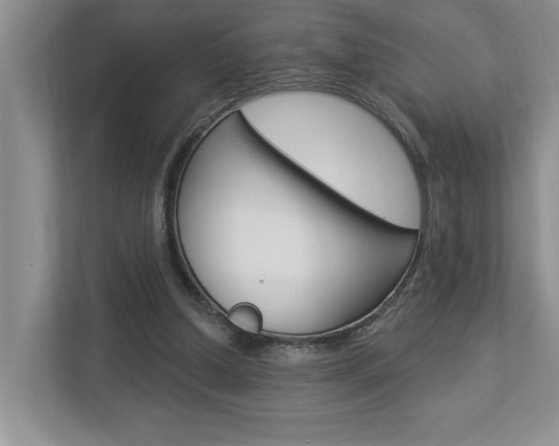X0000112890250200908211036