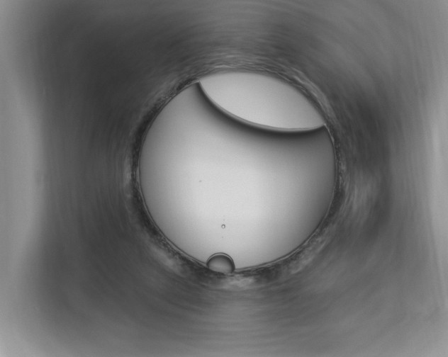 X0000112890257200908211036