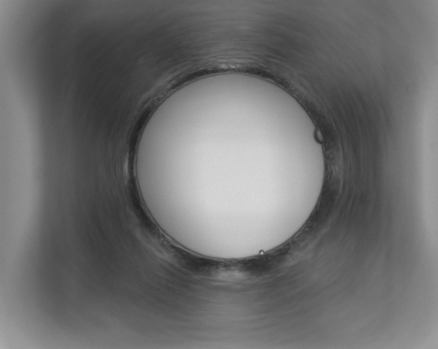 X0000112890262200908211036