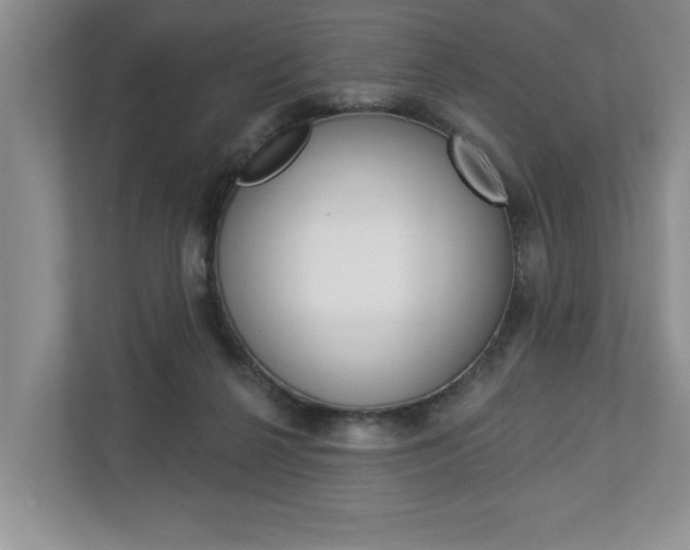 X0000112890264200908211036