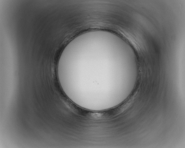X0000112890265200908211036