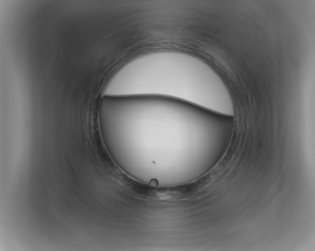 X0000112890268200908211036