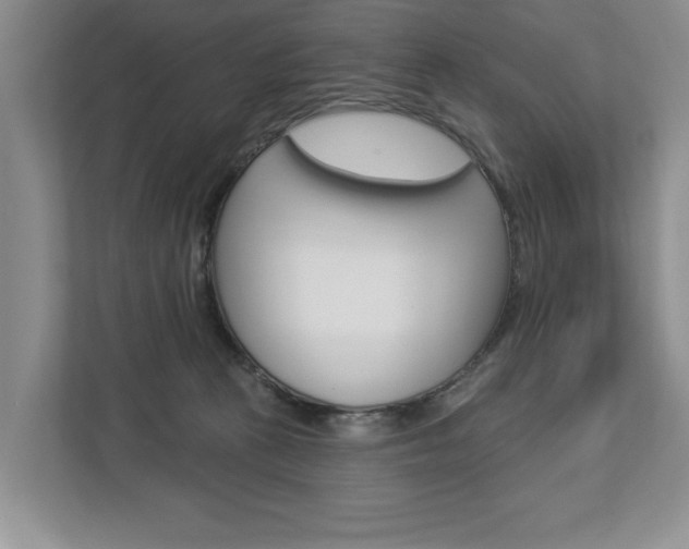 X0000112890273200908211036