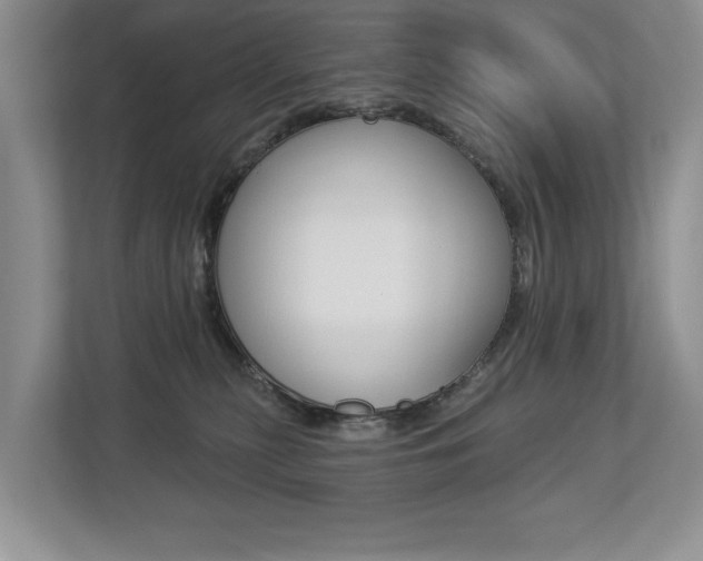 X0000112890279200908211036