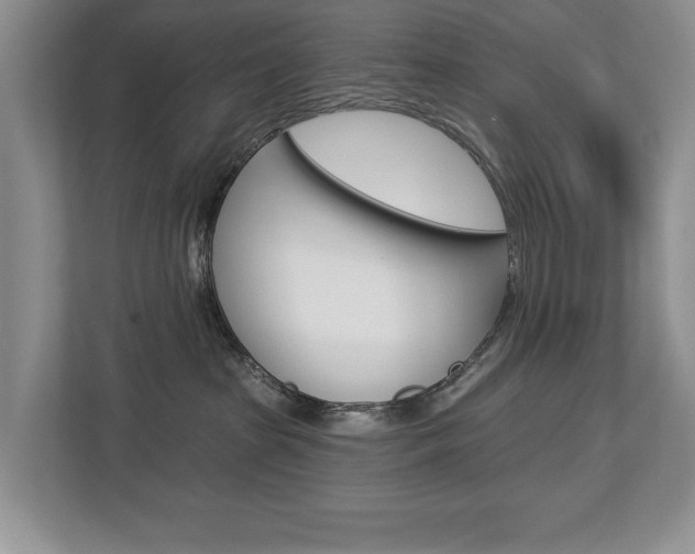 X0000112890285200908211036