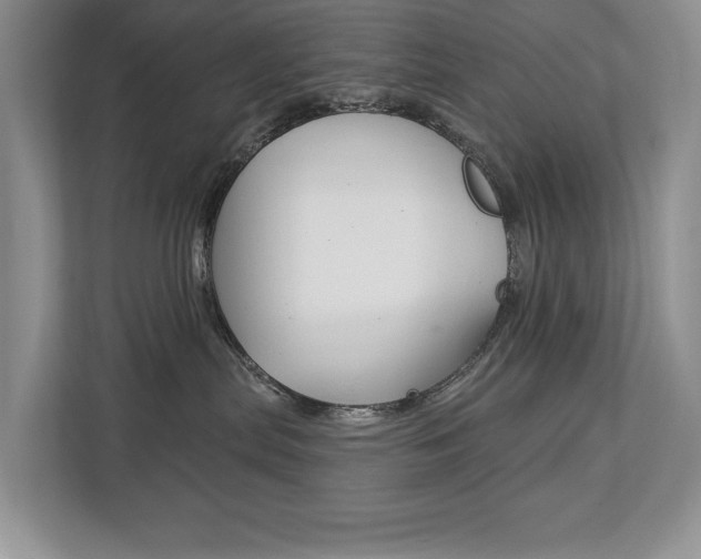X0000112890287200908211036