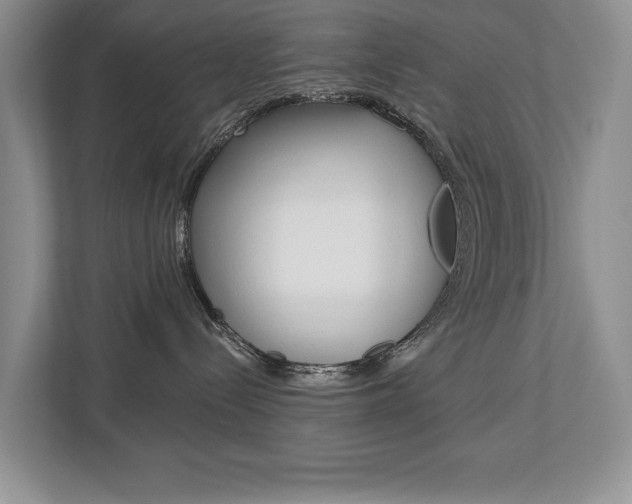 X0000112890288200908211036