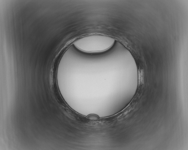 X0000112890291200908211036