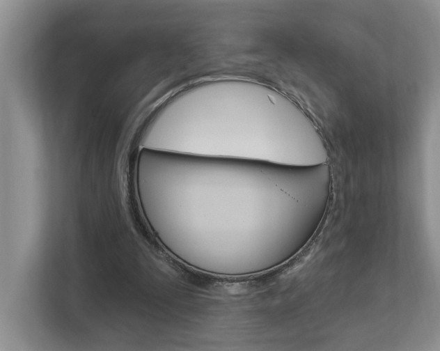 X0000112890295200908211036