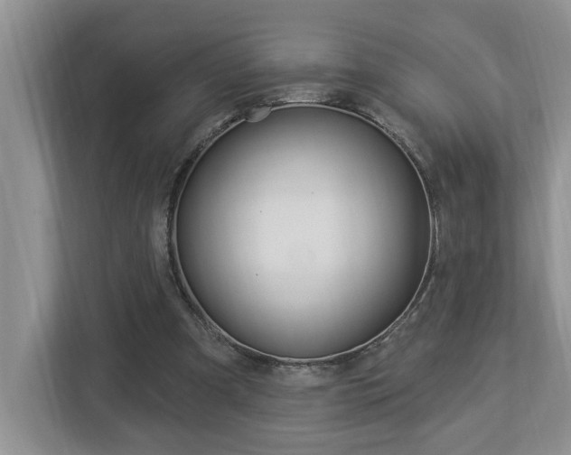 X0000112890297200908211036
