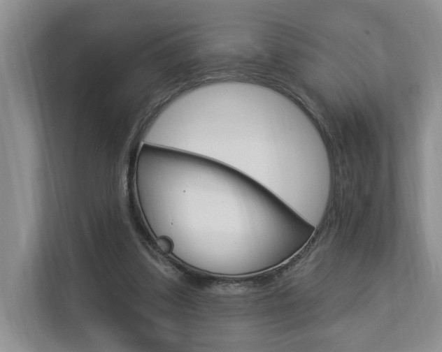 X0000112890299200908211036