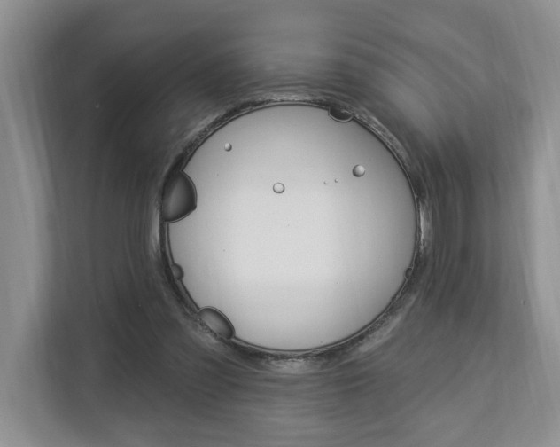 X0000112890301200908211035