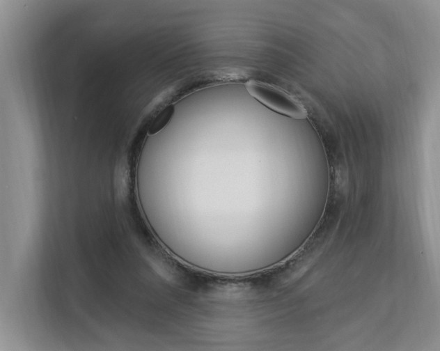 X0000112890304200908211035