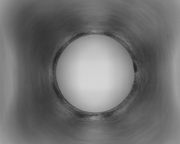 X0000112890306200908211035