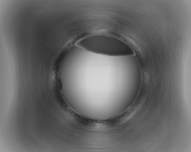 X0000112890308200908211035