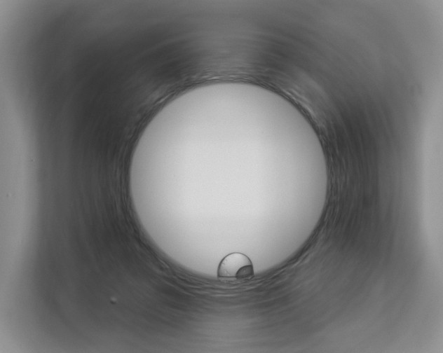 X0000112890309200908211035