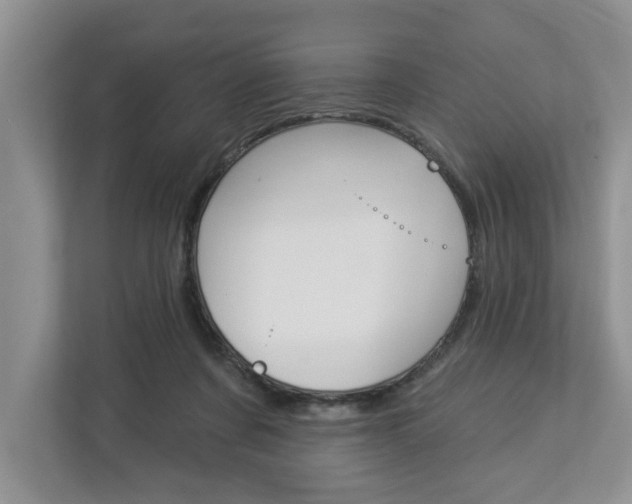 X0000112890311200908211035