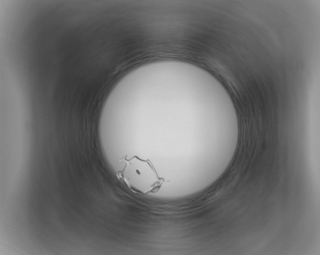 X0000112890312200908211035