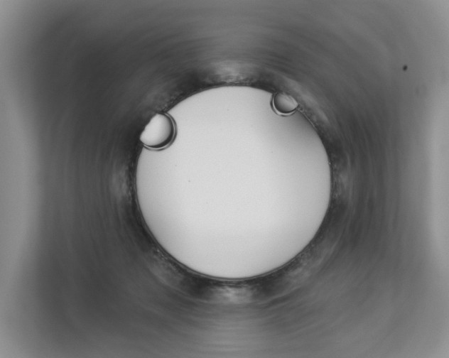 X0000112890317200908211035