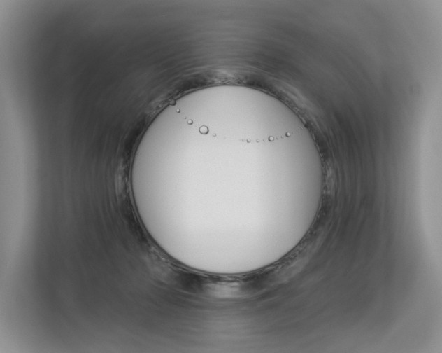 X0000112890318200908211035