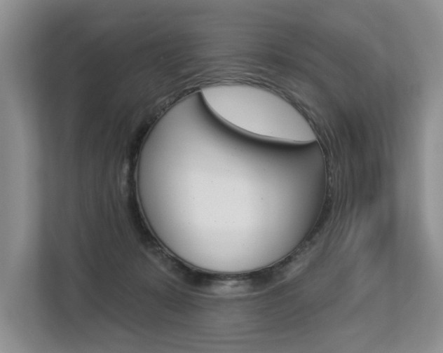 X0000112890319200908211035