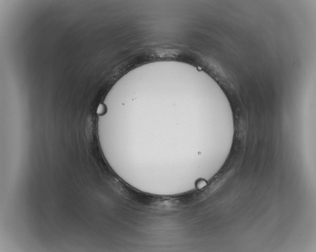 X0000112890321200908211035