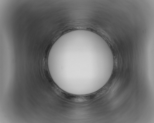 X0000112890322200908211035